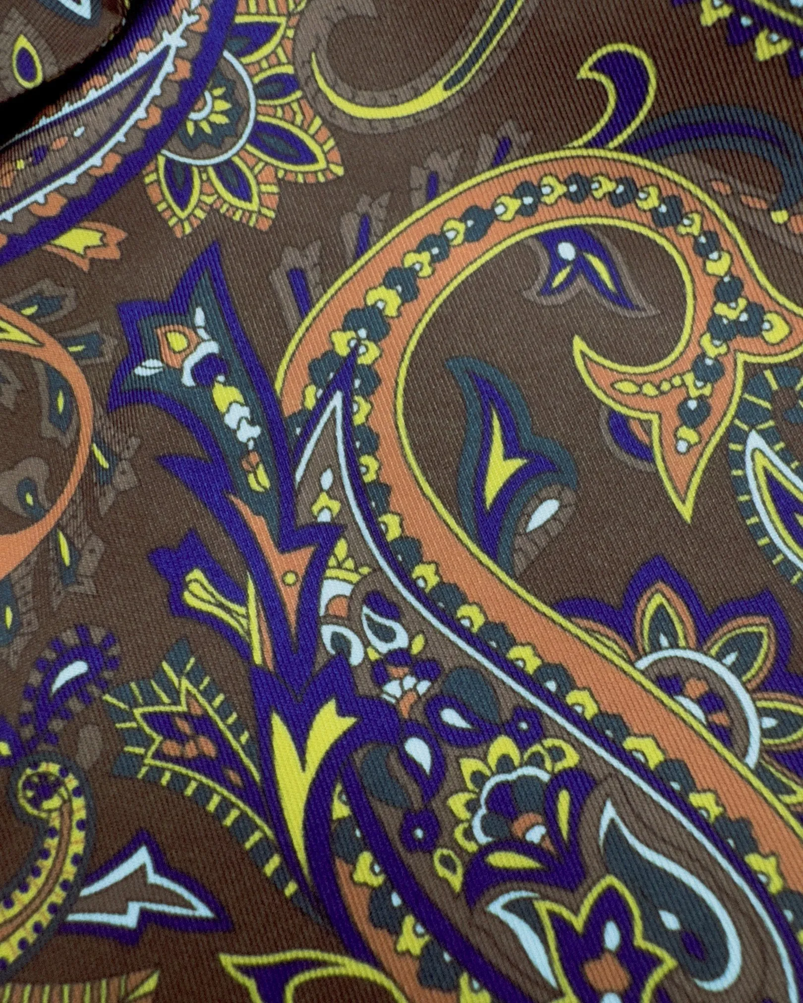 Men's Paisley Scarf - The Whistler