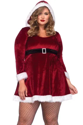 Plus Size Sexy Santa Costume