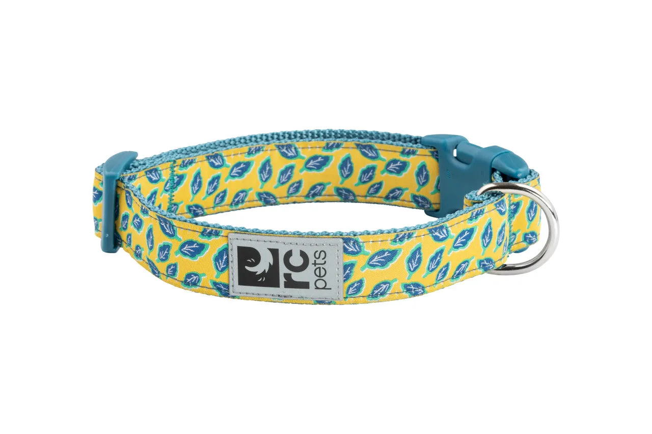 RC Pets Clip Collar - Bright