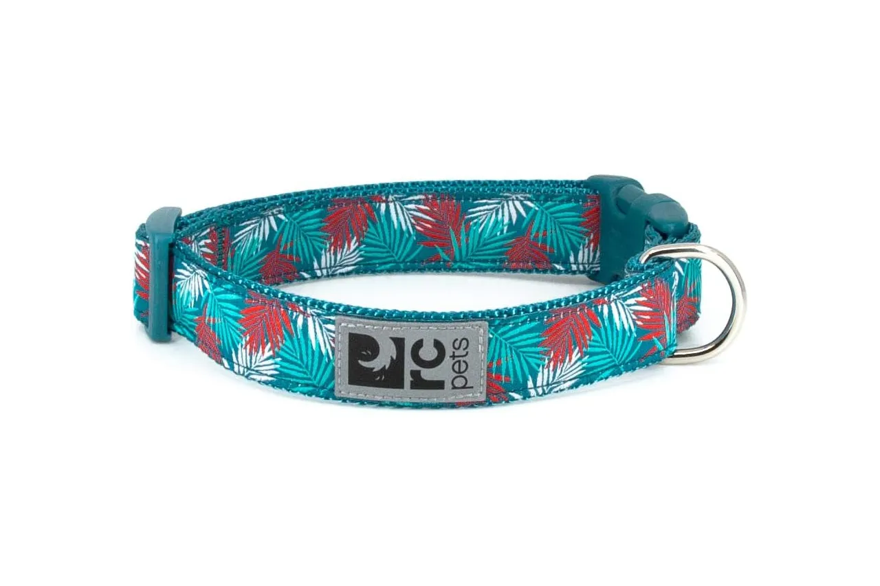RC Pets Clip Collar *Clearance*