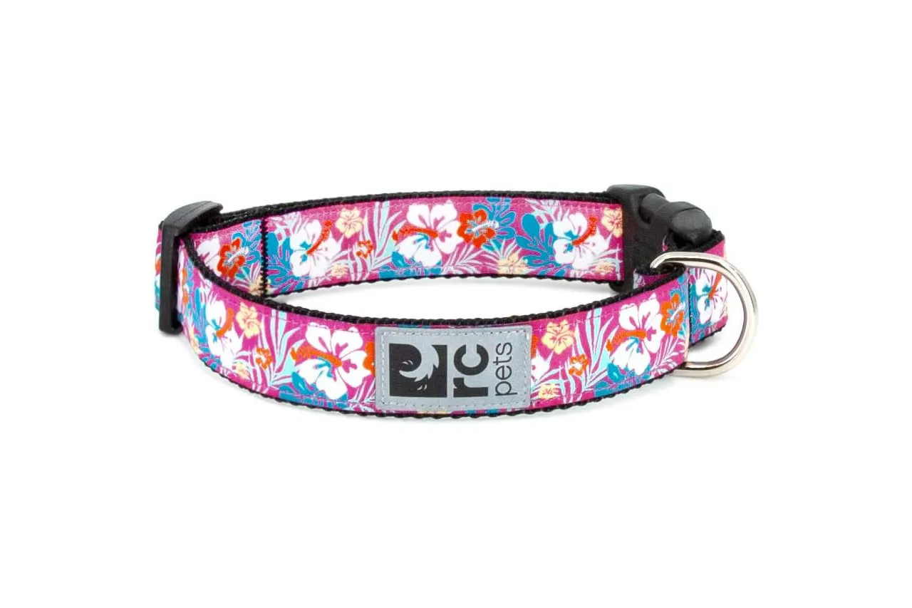 RC Pets Clip Collar *Clearance*