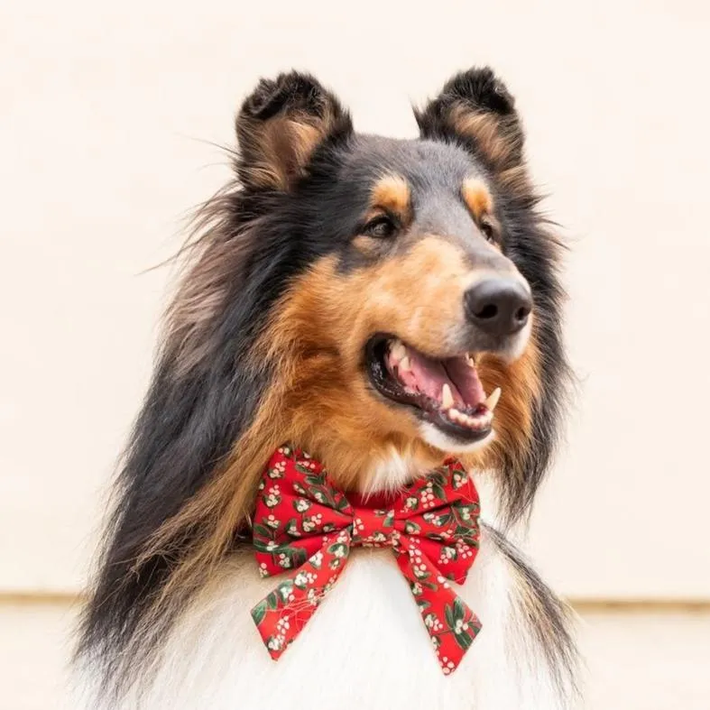 Rifle Paper Co. x TFD Mistletoe Lady Dog Bow