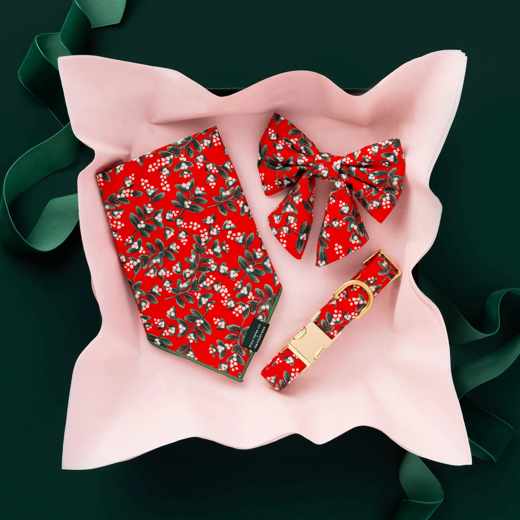 Rifle Paper Co. x TFD Mistletoe Lady Dog Bow