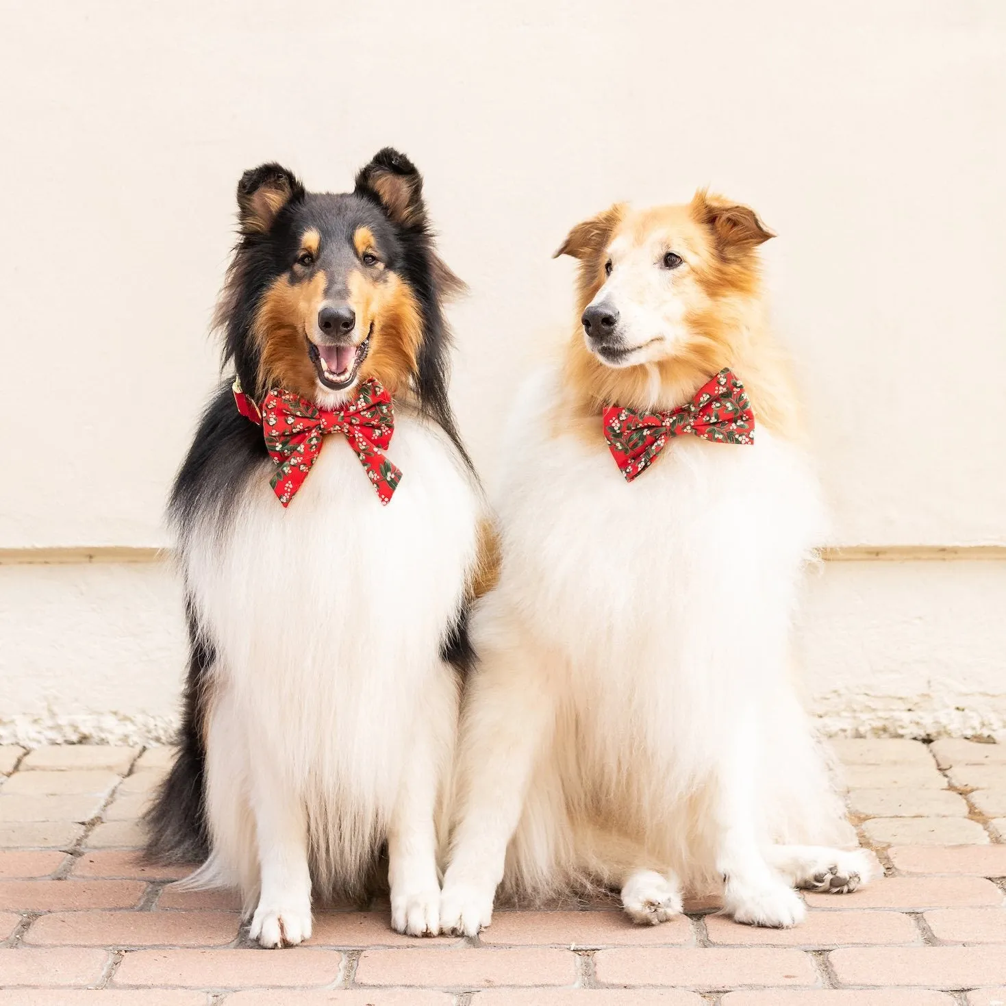 Rifle Paper Co. x TFD Mistletoe Lady Dog Bow